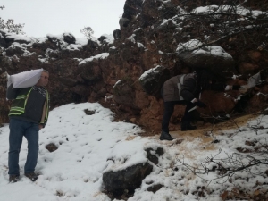 Tunceli’de Yaban Hayvanları İçin 2 Ton Yem Bırakıldı