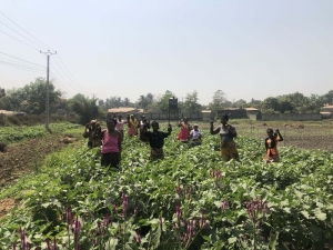 Tika’dan Gineli Kadınlara Tarım Alanında İstihdam