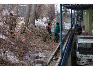 Çankaya’da 4 Bin 599 Ağaç Budandı