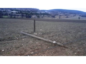 Hisarcık’ta Kablo Hırsızları Köyü Telefon Ve İnternetsiz Bıraktı