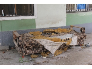 Mahkeme, Köpeğin Bulduğu Altınlar İçin Kararını Verdi