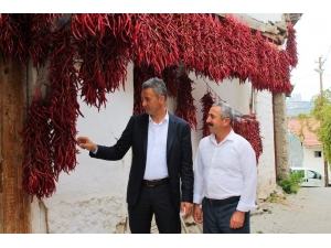 Çukurören Biberi Artık Bir Marka