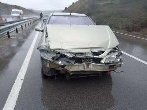 Yola Fırlayan Köpekler Kazaya Sebep Oldu