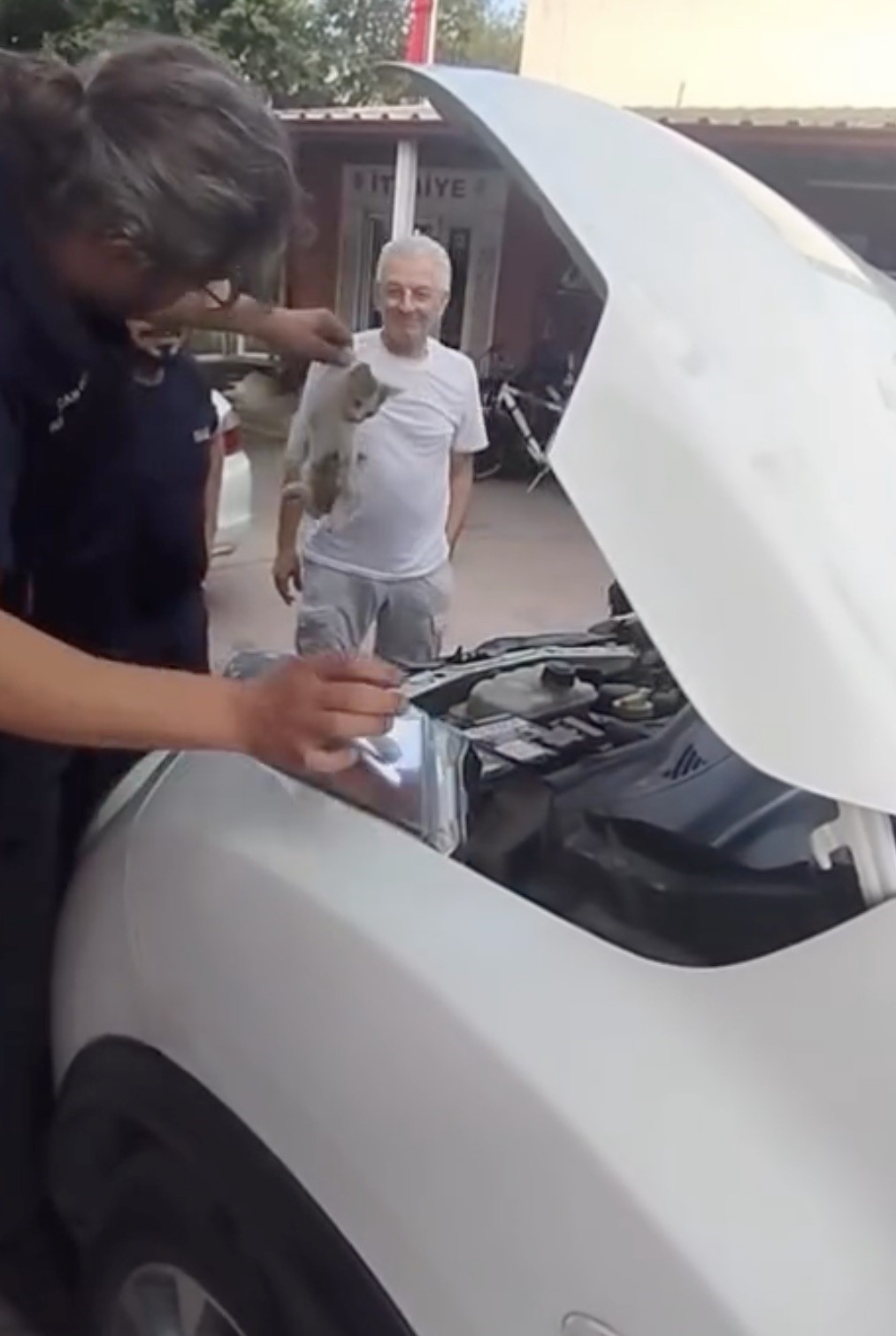 yalova-da-otomobile-sikisan-minik-kedinin-yardimina-itfaiye-ekipleri-yetisti