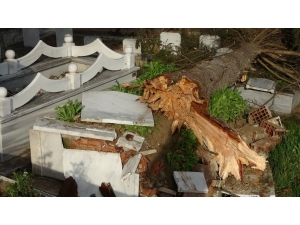 Fırtına Nedeniyle 15 Mezar Tahrip Oldu