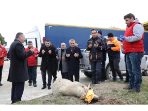 Kırklareli’nden Depremzedelere Yardım