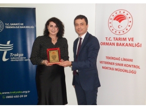 Sınır Noktası Personellerine “Etkili Sunum Teknikleri Eğitimi”