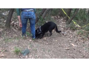 Büyükşehirleri Kana Bulayacaklardı, İşte Böyle Yakalandılar