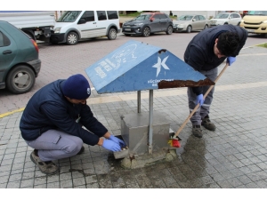 Küçükçekmece Belediyesi, Minik Dostları Unutmadı