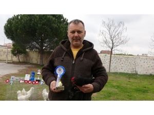 Babasının Çocukken Hediye Ettiği 2 Güvercin Hayatını Değiştirdi