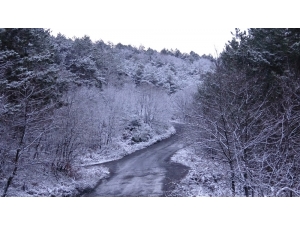 Kar Yağışı Etkisini Gösterdi, Aydos Ormanı Beyaza Büründü