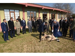 Türkiye’de Yaşanan Olayların Son Bulması İçin Kurban Kesildi