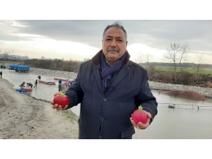 Turp Üreticisinden Çinlilere “Turp Yiyin Turp Gibi Olun” Tavsiyesi