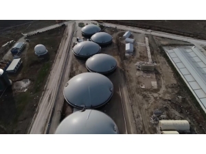 1 Yılda Tam 7 Milyon 580 Bin Dolar Kazandırdı