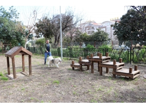 Alanya’da İlk Köpek Parkı Hizmete Açıldı