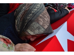 Şehit Özgür Çelik Son Yolculuğuna Uğurlandı