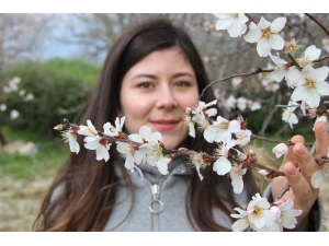 Datça, ’Badem Çiçeği’ Şenliği İle Isındı