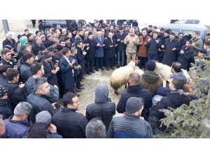 Şehitler İçin Mevlit Okutulup Musibetler İçin Kurban Kesildi