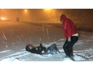 Bolu Dağı’nda Sürücüler Karın Tadını Doyasıya Çıkarttı