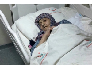 Yokluğuna 5 Gün Dayanabildi