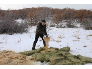Bakan Pakdemirli, Doğa Ve Yaban Hayatıyla İç İçe Bir Gün Geçirdi