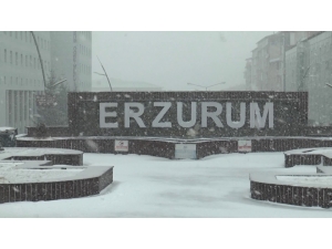 Doğu Kar Ve Tipiye Teslim