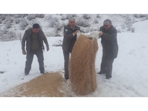 Kırıkkale’de Hayvanlar Aç Kalmasın Diye Doğaya Yem Bırakıldı