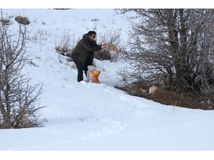 Dkmp Yemleme Çalışmalarını Sürdürüyor