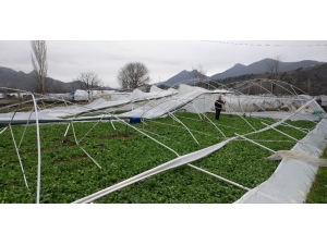 Şiddetli Rüzgâr Ve Yağmurdan Toplam 220 Sera Hasar Gördü