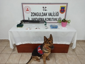 Jandarmadan Uyuşturucu Operasyonu: 5 Gözaltı