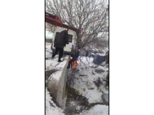 Ceviz Ağacı Hayatını Kurtardı