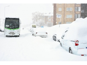 Bitlis’te Kar Esareti