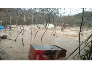 Mersin’de 5 Tonluk Konteyner Ev Sele Kapıldı