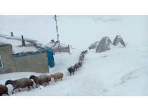 Şiddetli Tipi Ve Fırtınanın Boyutu Kameralara Yansıdı