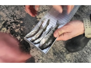 Beyşehir Gölünde Avcılara Denetim