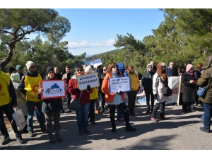 Ayvalıklılar Parkın İhaleye Çıkmaması İçin Toplandılar