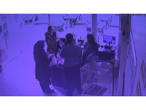 ‘Öğretmenim’ Diyerek Bumbarcıyı Dolandırdı