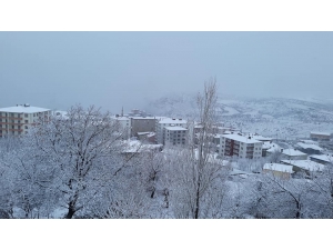 Kulp’ta Kar Yağışı Hayatı Olumsuz Etkiledi