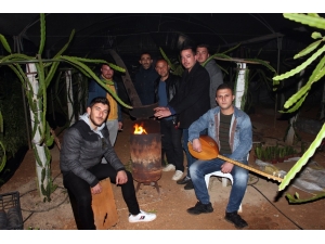 Mersin’de Çiftçilerin Sazlı Türkülü Zirai Don Nöbeti