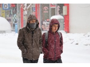 Van’da Kar Esareti