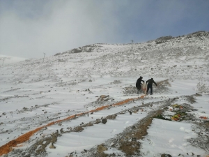 Yaban Hayvanları İçin Doğaya Yem Bırakıldı
