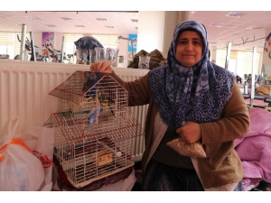 Depremde Evindeki Her Şeyi Bıraktı, Kuşlarını Kurtardı