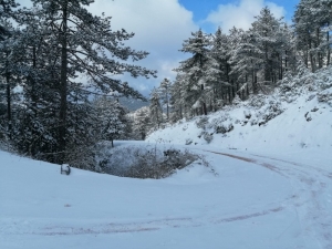 Sındırgı’da Kar Kartpostallık Görüntüler Oluşturdu