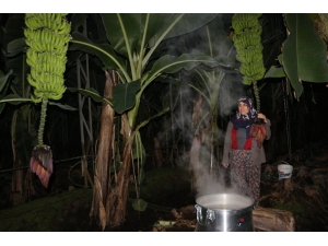 Alanya’da Üreticinin Don Nöbeti