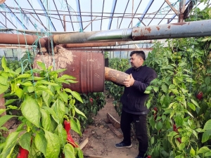 Seralarda Buz Sarkıtları Oluştu