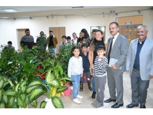 Tebrik İçin Gönderilen Çiçekleri Öğrencilere Hediye Etti