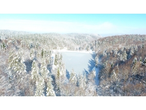 Çamlıpınar Göleti Buz Tuttu