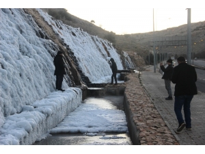 Manzarayı Gören Fotoğraf Çekmek İçin Koştu