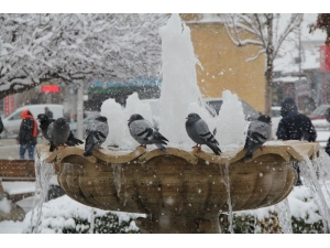 Doğu’da Soğuk Hava: Göle Eksi 40