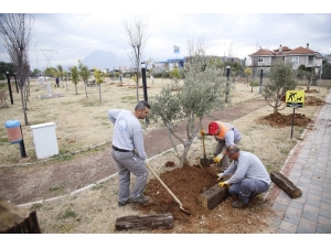 Döşemealtı Belediyesi, Elazığ Depreminde Hayatını Kaybedenleri Unutmadı